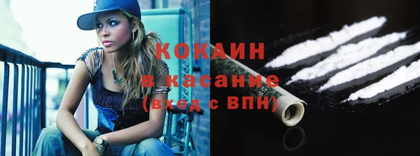крисы Надым