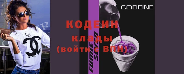 крисы Надым