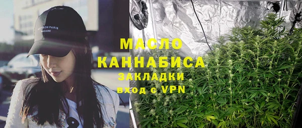 крисы Надым