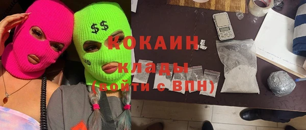 крисы Надым
