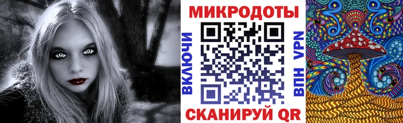 где продают   Тутаев  Псилоцибиновые грибы ЛСД 